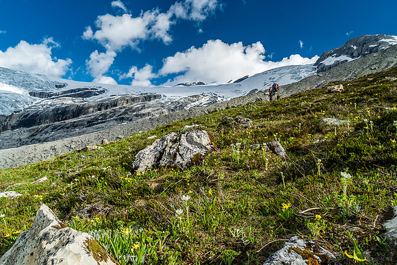 Gorgeous 'little' corner of the Canadian Rockies that sees very few human feet each year.