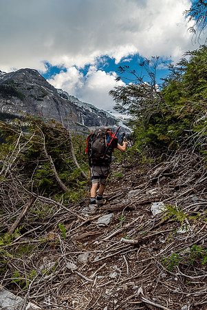 The alder / avalanche trail which would be absolute HELL without a wide chainsaw path hacked through it.