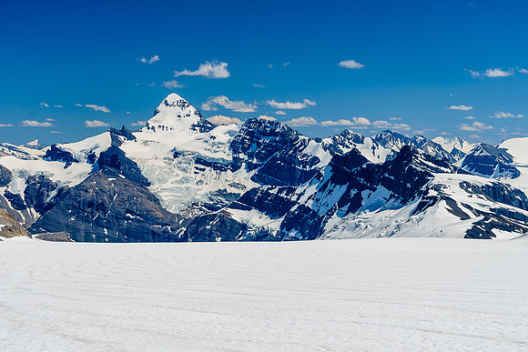 Looking back down the main Lyell Glacier at Mount Forbes.