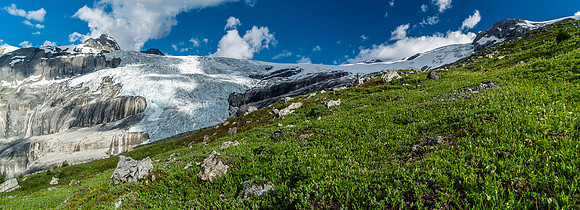 Brilliant green alpine meadows contrast with the rock, snow and ice in the distance.