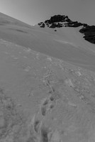The descent was steep, on slurpee snow - this is looking up at Rudolph from the steep descent slopes which crossed over two 'schrunds.