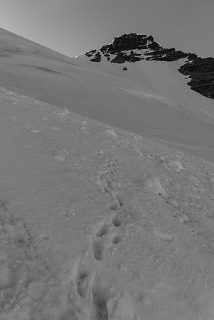 The descent was steep, on slurpee snow - this is looking up at Rudolph from the steep descent slopes which crossed over two 'schrunds.