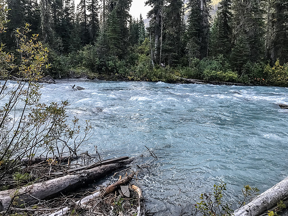 The creek still looks feisty this morning, but a LOT better than last night.