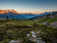 King Edward alpine meadows.