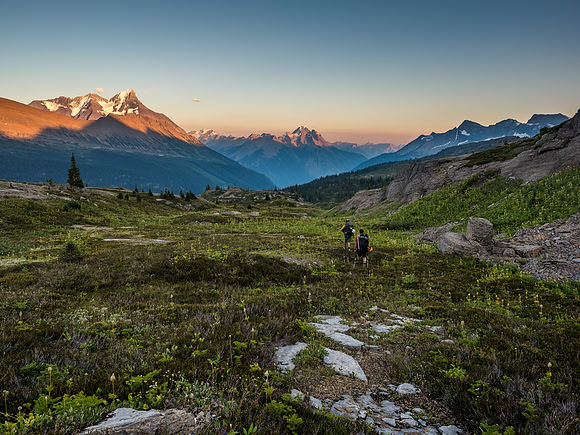 King Edward alpine meadows.