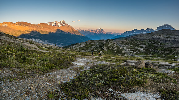 King Edward alpine meadows.