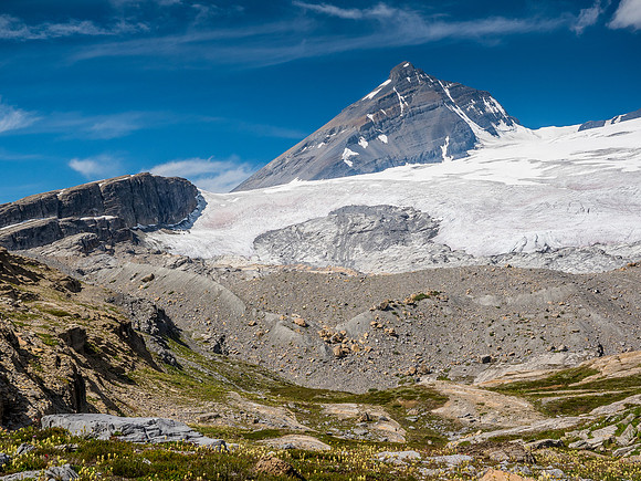 King Edward alpine approach meadows.