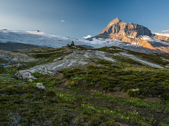 King Edward alpine meadows.