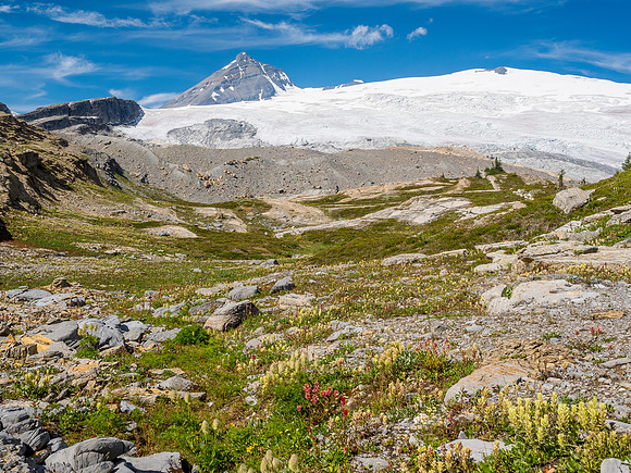 Flowers and our mountain. Our bivy is on the rock outcrop at left.