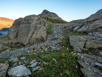 King Edward alpine meadows.