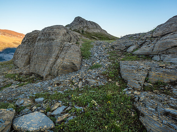 King Edward alpine meadows.