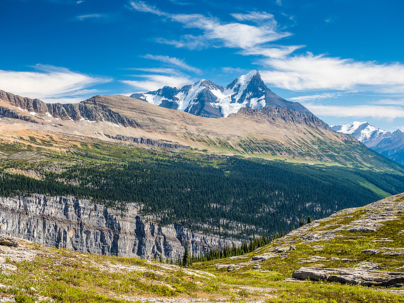 Gorgeous views back to the north face of Mount Bryce.