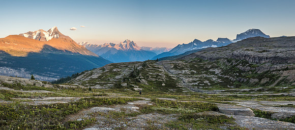 King Edward alpine meadows.