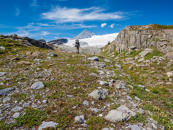 King Edward alpine approach meadows.