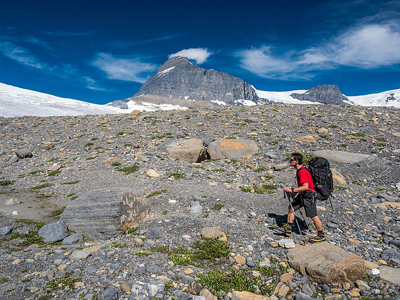 Transition from meadows to glacier terrain.
