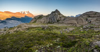 King Edward alpine meadows.
