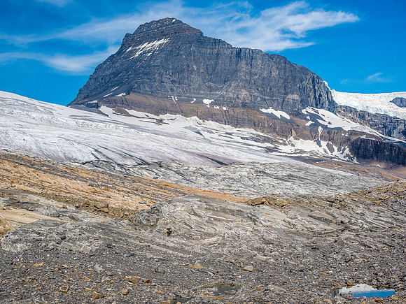Tiny in a huge landscape. The huge west face of Mount Columbia looms many thousands of feet over us.