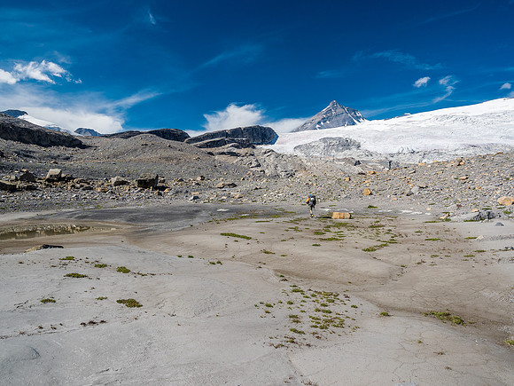 Transition from meadows to glacier terrain.