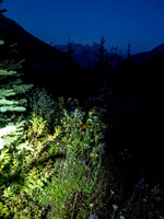 Hiking out in the bush at night. Good times.