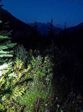 Hiking out in the bush at night. Good times.