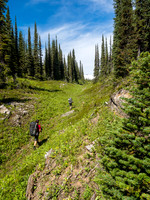 Following a nice terrain feature out of the forest and into the alpine meadows.