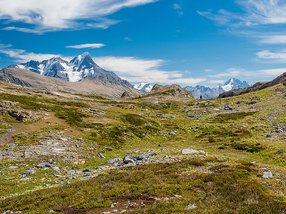 King Edward alpine approach meadows.