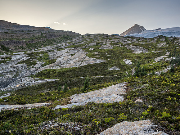 King Edward alpine meadows.