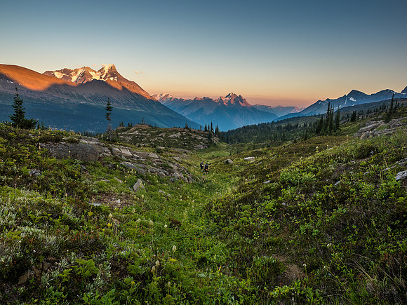 King Edward alpine meadows.