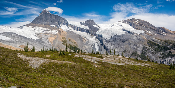 King Edward alpine approach meadows.