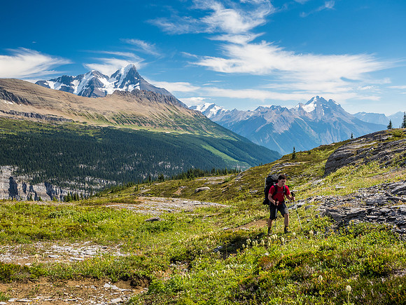 King Edward alpine approach meadows.