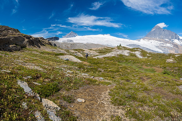 King Edward alpine approach meadows.