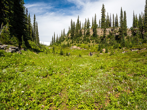 King Edward alpine approach meadows.