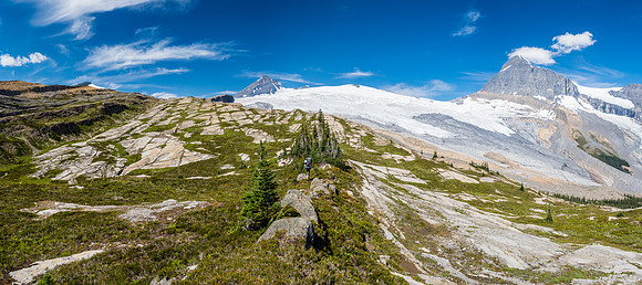 King Edward alpine approach meadows.