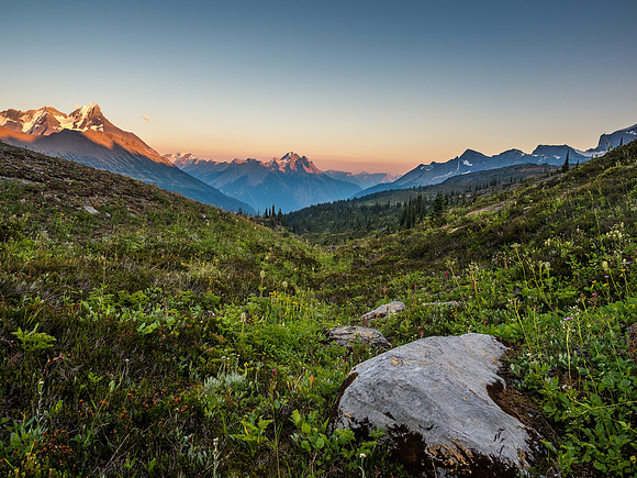 King Edward alpine meadows.