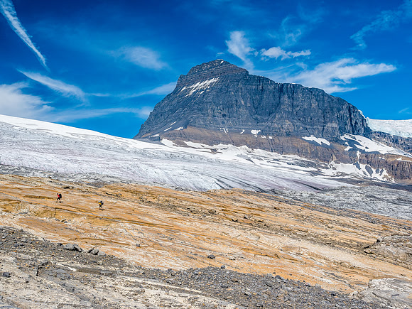 Tiny in a huge landscape. The huge west face of Mount Columbia looms many thousands of feet over us.