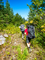 King Edward approach road.