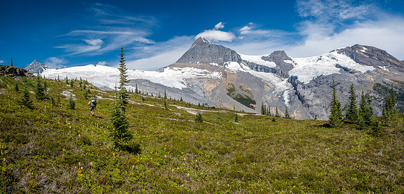 Dramatic views of Mount Columbia from the meadows.