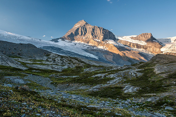 King Edward alpine meadows.
