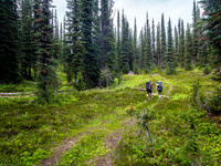 The track through the forest.
