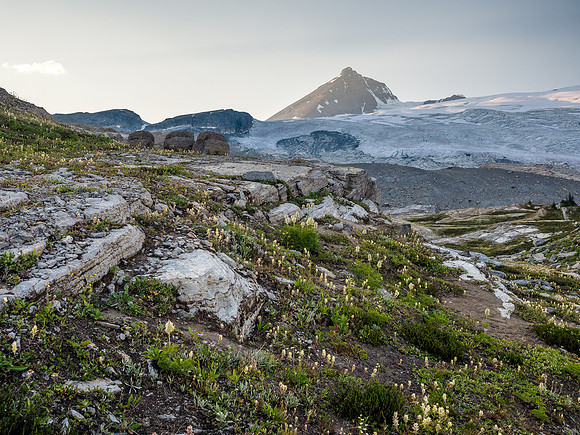 King Edward alpine meadows.
