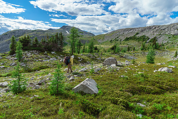 The lovely environs of South Burstall Pass.