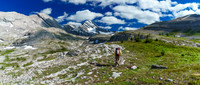 Making our way to South Burstall Pass - Burstall Pass Peak on the upper right and Sir Douglas clearly visible now at center.