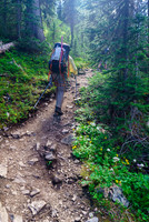 The hiking trail to Burstall Pass is a highway - but a scenic highway at least.