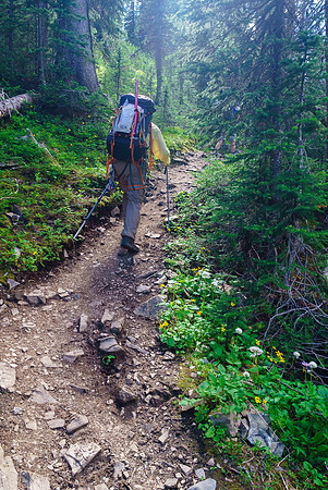 The hiking trail to Burstall Pass is a highway - but a scenic highway at least.