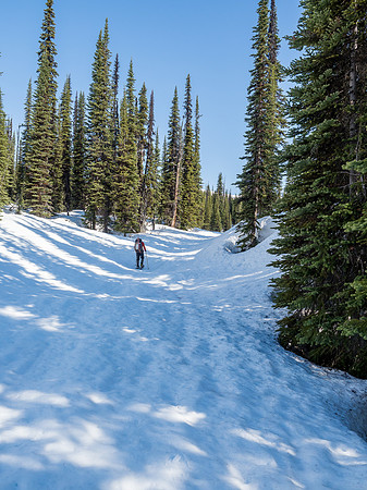 The gullies work against you a bit on the traverse as you always want to follow them while the route mostly cuts across.