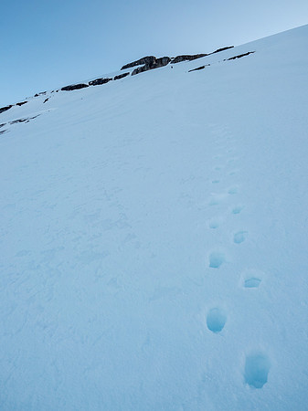 More blue snow and Steven up ahead, pulling away as Ben and I discuss the safety of our situation.