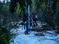 Alder-thrashing on the road.