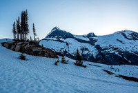 Looking past a small island of trees towards Mount Columbia from near treeline in the alpine meadows.