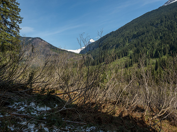 Mount Columbia is a distant dream at this point in the thrash.