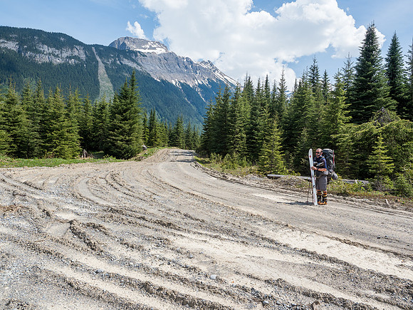 This new logging road saved us about 2-3 hours of bushwhacking to the Bush River FSR.